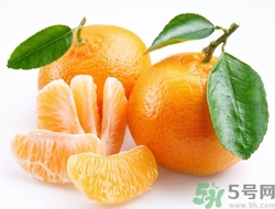 橘子沒熟能泡水喝嗎?橘子沒熟泡水喝會怎么樣 橘子沒熟能泡水喝嗎?橘子沒熟泡水喝會怎么樣