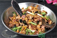 鴨嘴魚的營養(yǎng)價值 鴨嘴魚的功效與作用 鴨嘴魚的營養(yǎng)價值 鴨嘴魚的功效與作用