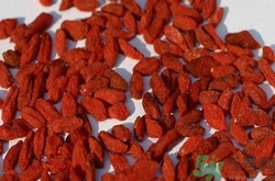 枸杞發(fā)黑能吃嗎？枸杞發(fā)黑是怎么回事？