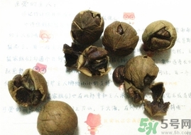 三只松鼠多少錢一袋？三只松鼠價(jià)格