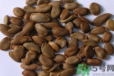 瓜蔞的功效作用 瓜蔞的藥用價(jià)值 瓜蔞的功效作用 瓜蔞的藥用價(jià)值