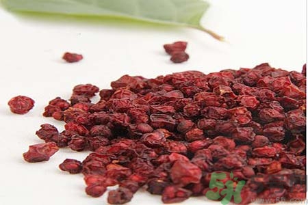 北五味子的功效作用 北五味子的禁忌 北五味子的功效作用 北五味子的禁忌