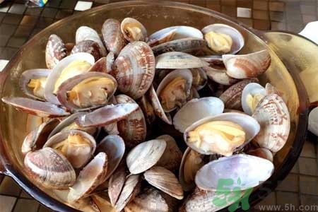 蛤蜊的食用方法有哪些？蛤蜊的營(yíng)養(yǎng)價(jià)值是什么？
