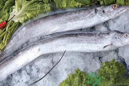 帶魚怎么洗？帶魚如何處理？