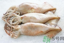 魷魚怎么處理？干魷魚怎么泡發(fā)？