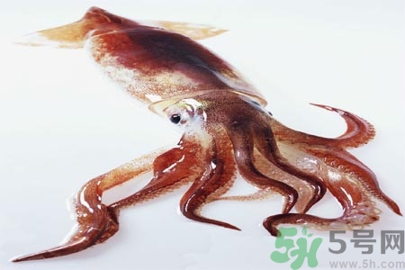 魷魚怎么處理？干魷魚怎么泡發(fā)？