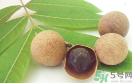 孕婦可以吃干桂圓嗎？孕婦吃干桂圓好嗎？