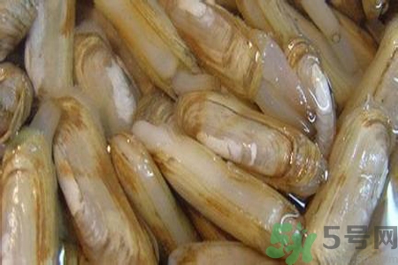 蟶子怎么洗？新鮮蟶子怎么挑選？