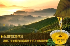 茶油的功效與作用 茶油的藥物功效 茶油的功效與作用 茶油的藥物功效