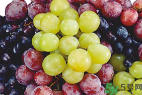 螃蟹可以和葡萄一起吃嗎?螃蟹能和葡萄同吃嗎? 螃蟹可以和葡萄一起吃嗎?螃蟹能和葡萄同吃嗎?