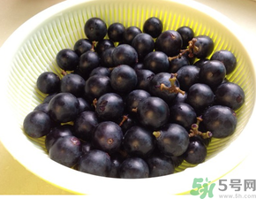 夏黑葡萄營養(yǎng)價(jià)值 夏黑葡萄的功效與作用 夏黑葡萄營養(yǎng)價(jià)值 夏黑葡萄的功效與作用