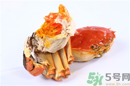 螃蟹公母怎么分?螃蟹公母的區(qū)別 螃蟹公母分別圖片 螃蟹公母怎么分?螃蟹公母的區(qū)別 螃蟹公母分別圖片