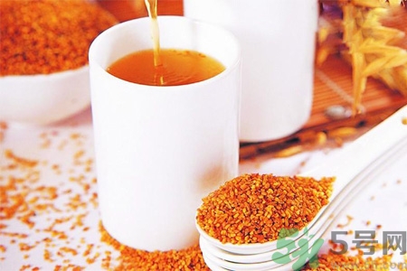 苦蕎茶的功效與作用 苦蕎茶的飲用禁忌 苦蕎茶的功效與作用 苦蕎茶的飲用禁忌