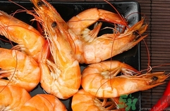 基圍蝦可以和豆腐一起吃嗎?基圍蝦能和豆腐同吃嗎? 基圍蝦可以和豆腐一起吃嗎?基圍蝦能和豆腐同吃嗎?