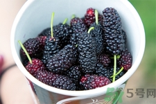 桑葚的功效與作用 桑葚的營養(yǎng)價值 桑葚的功效與作用 桑葚的營養(yǎng)價值