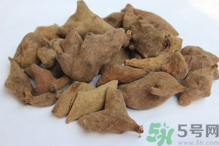 五倍子的功效與作用 五倍子的藥用價(jià)值 五倍子的功效與作用 五倍子的藥用價(jià)值