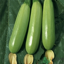 西葫蘆的營養(yǎng)價(jià)值 西葫蘆的功效與作用 西葫蘆的營養(yǎng)價(jià)值 西葫蘆的功效與作用