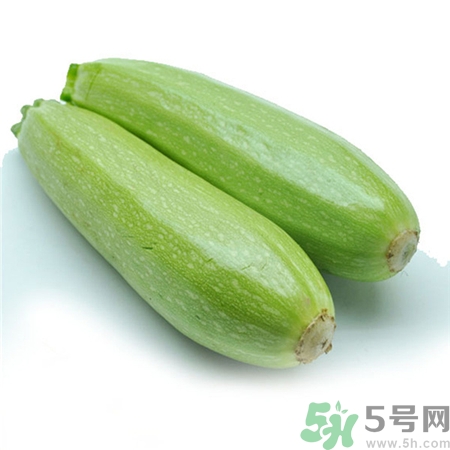 西葫蘆的營養(yǎng)價(jià)值 西葫蘆的功效與作用 西葫蘆的營養(yǎng)價(jià)值 西葫蘆的功效與作用