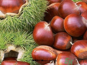 生板栗怎么保存？?板栗如何保存能放更久