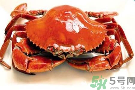 大閘蟹如何保存？大閘蟹死了還能吃嗎？