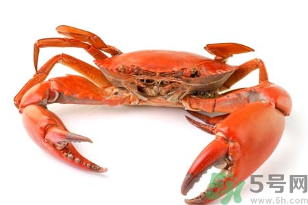 大閘蟹如何保存？大閘蟹死了還能吃嗎？