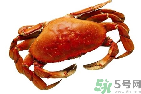 大閘蟹是發(fā)物嗎？哪些人不宜吃大閘蟹？