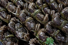 大閘蟹是發(fā)物嗎？哪些人不宜吃大閘蟹？