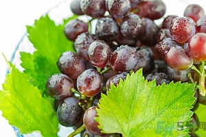 蘋果和提子可以同吃嗎？蘋果和提子可以榨汁嗎？