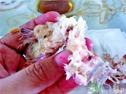 皮皮蝦怎么剝皮?皮皮蝦怎么剝開(kāi)? 皮皮蝦怎么剝皮?皮皮蝦怎么剝開(kāi)?