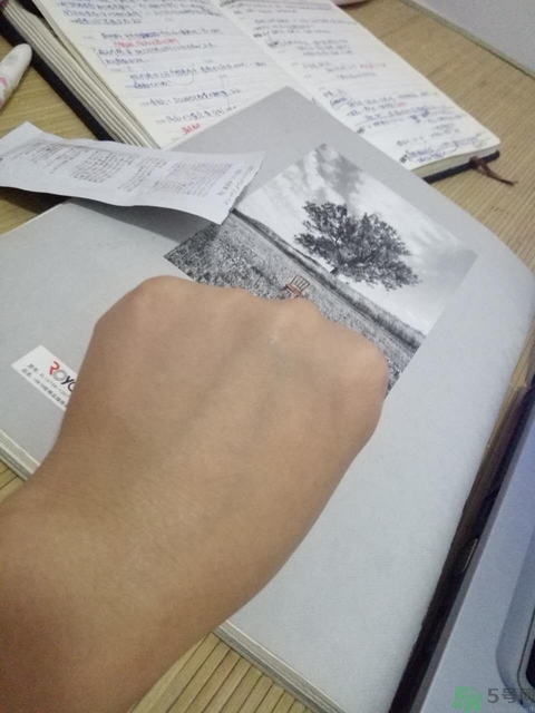 圣珂蘭泡美人面膜多少錢?圣珂蘭泡美人面膜價(jià)格 圣珂蘭泡美人面膜多少錢?圣珂蘭泡美人面膜價(jià)格