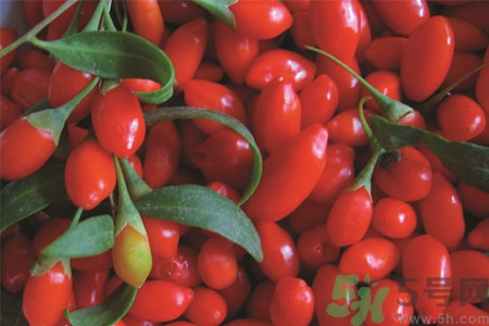 枸杞一天吃多少為宜？枸杞什么時(shí)候吃最好？