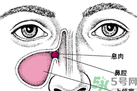 鼻子不通氣吃什么藥？鼻子不通氣的九個(gè)小妙招