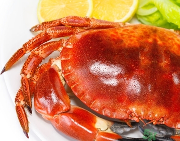 螃蟹可以帶上火車(chē)嗎？螃蟹可以帶上動(dòng)車(chē)嗎？