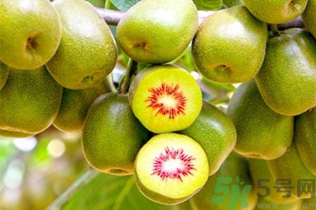 獼猴桃怎么去皮？如何挑選獼猴桃？