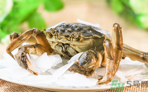 螃蟹什么時(shí)候上市？螃蟹上市時(shí)間