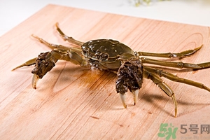 螃蟹怎么保存才新鮮？活螃蟹怎么保存過夜？