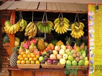 火龍果和哈密瓜可以一起吃嗎?火龍果和哈密瓜一起吃好嗎 火龍果和哈密瓜可以一起吃嗎?火龍果和哈密瓜一起吃好嗎