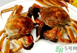 大閘蟹公的好還是母的好?大閘蟹公的好吃還是母的好吃? 大閘蟹公的好還是母的好?大閘蟹公的好吃還是母的好吃?