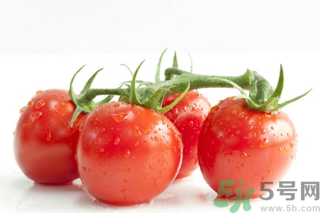 番茄和西紅柿有什么區(qū)別？番茄和西紅柿一樣嗎？