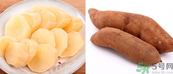 雪蓮果怎么吃?雪蓮果的吃法大全 雪蓮果怎么吃?雪蓮果的吃法大全