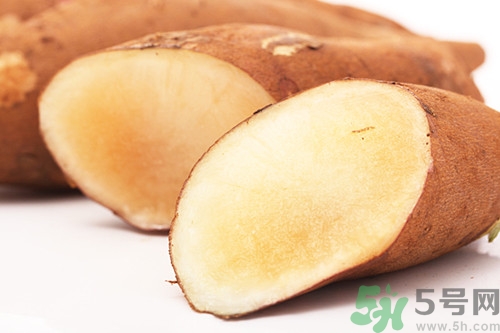 雪蓮果怎么吃?雪蓮果的吃法大全 雪蓮果怎么吃?雪蓮果的吃法大全