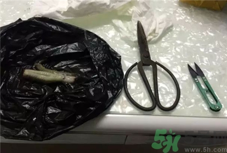 泥鰍怎么殺和洗?泥鰍怎么洗才干凈? 泥鰍怎么殺和洗?泥鰍怎么洗才干凈?