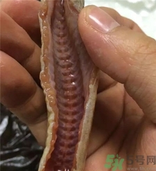 泥鰍怎么殺和洗?泥鰍怎么洗才干凈? 泥鰍怎么殺和洗?泥鰍怎么洗才干凈?