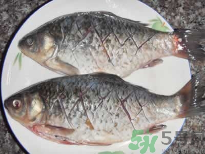 活鯽魚怎么保存不死?活鯽魚怎么保存過夜? 活鯽魚怎么保存不死?活鯽魚怎么保存過夜?