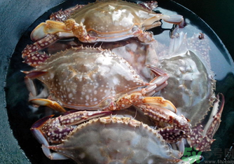 河蟹死了還能吃嗎？河蟹死了多久還能吃？