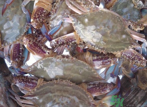 梭子蟹多少錢一斤？梭子蟹多少錢一只？