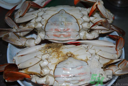 梭子蟹怎么洗？冷凍梭子蟹怎么洗？