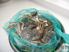 梭子蟹怎么保存？活的梭子蟹怎么保存？