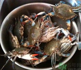 梭子蟹怎么保存？活的梭子蟹怎么保存？