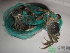 梭子蟹怎么保存？活的梭子蟹怎么保存？